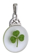 Real Shamrock embedded in Resin Pendant  WBS44407